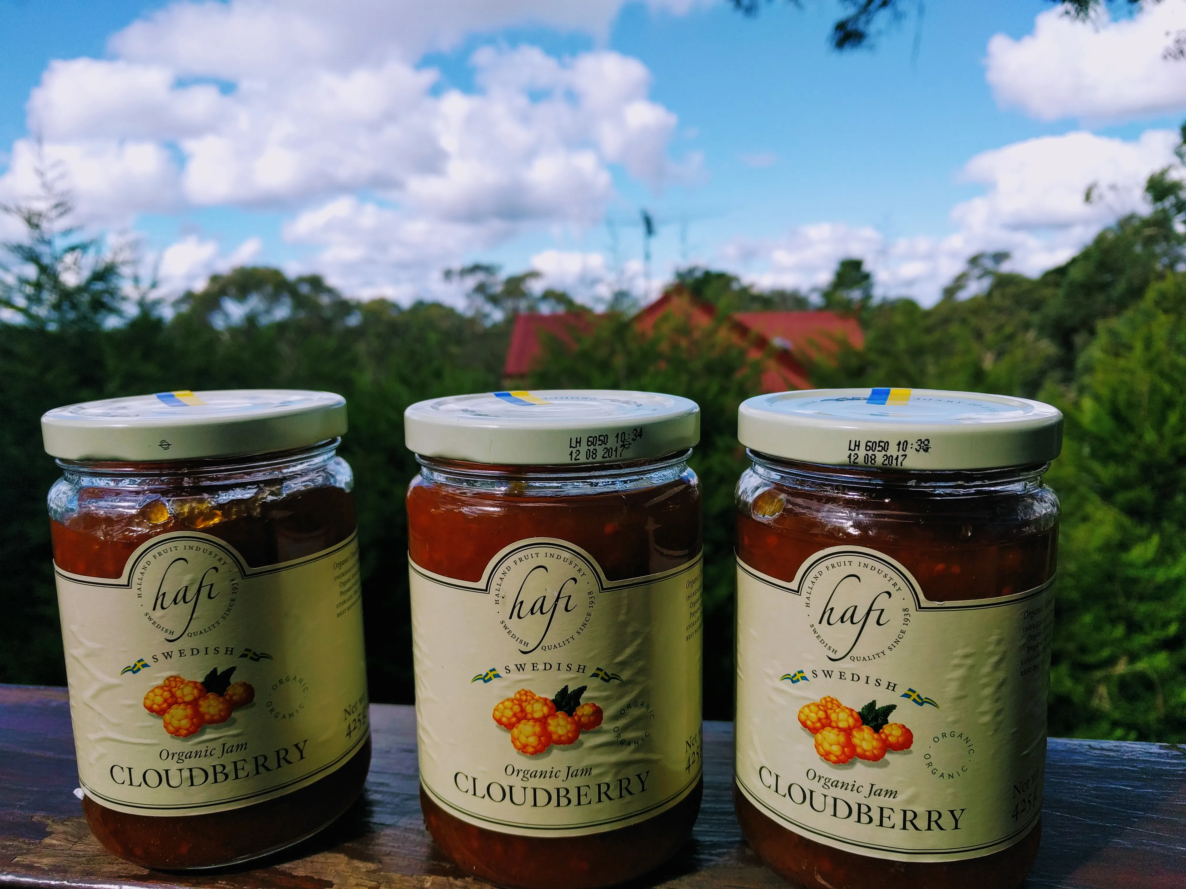 6th May: Launch of Watch Over Me with Patti Miller at The Carrington Hotel